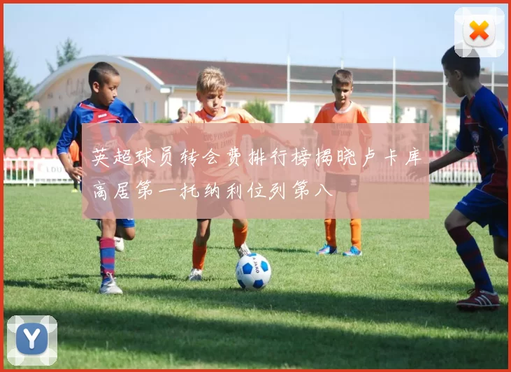 英超球员转会费排行榜揭晓卢卡库高居第一托纳利位列第八